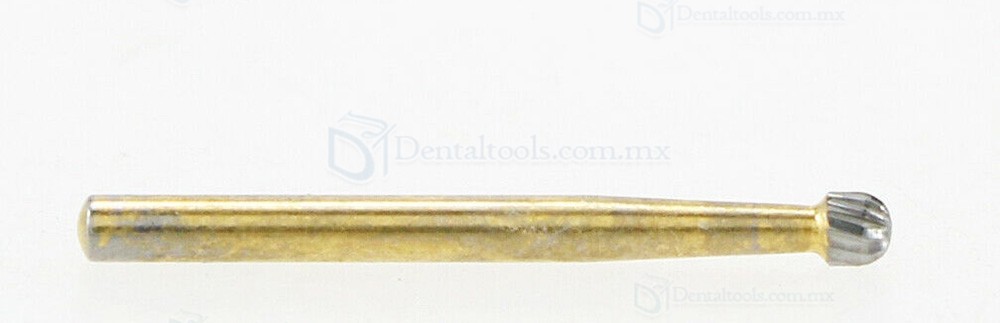 Wave Dental TF 7004 10 fresas de carburo redondas dental